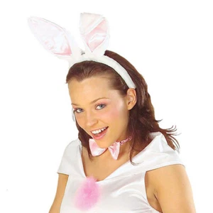 Set Hase Bunny Fasching Hasen Kostüm Zubehör Damenkostüm Accessoire - Bild 1 von 1