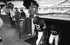 Cleveland Browns Jim Brown exiting dugout onto field before game v- Old Photo