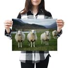 A3 - Awesome Sheep Flock Farm Farmer Poster 42X29.7Cm280gsm #15771