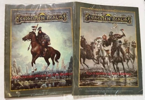 DM's Sourcebook and Cyclopedia of the Realms AD&D Forgotten Dungeons Dragons TSR - Picture 1 of 11