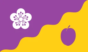 Flag of Flore - Highest Quality Flag Material Fast Turnaround Various Sizes - Picture 1 of 7