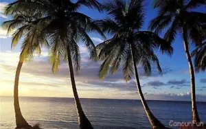 Dominican Republic~ Hard Rock, Punta Cana: HOF All inclusive VIP for 2 Adults - Picture 1 of 1