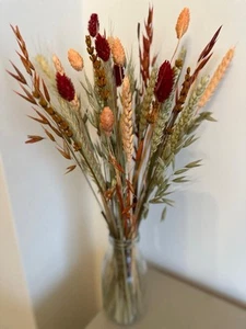 Dried flowers Autumn Glow stem collection 40pcs, 30-32cms, vase, decor, weddings - Picture 1 of 5