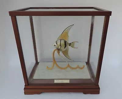 Rare Vintage Signed Vermeil Sterling Silver 960 Angel Fish Sculpture By Takehiko • 337.26$