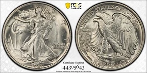 1920 50C PCGS MS64 CAC Walking Liberty Silver Half Dollar 44305643 - Picture 1 of 2