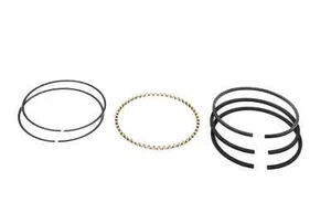 Piston Ring Set 8166, 2022115101 for Quincy Models 255, 270, 4125, 325 & 330 - Picture 1 of 2