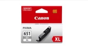 Genuine Canon CLI-651XL CLI651XL grey ink cartridge for iP7160 MG6360 iP8760 - Picture 1 of 1
