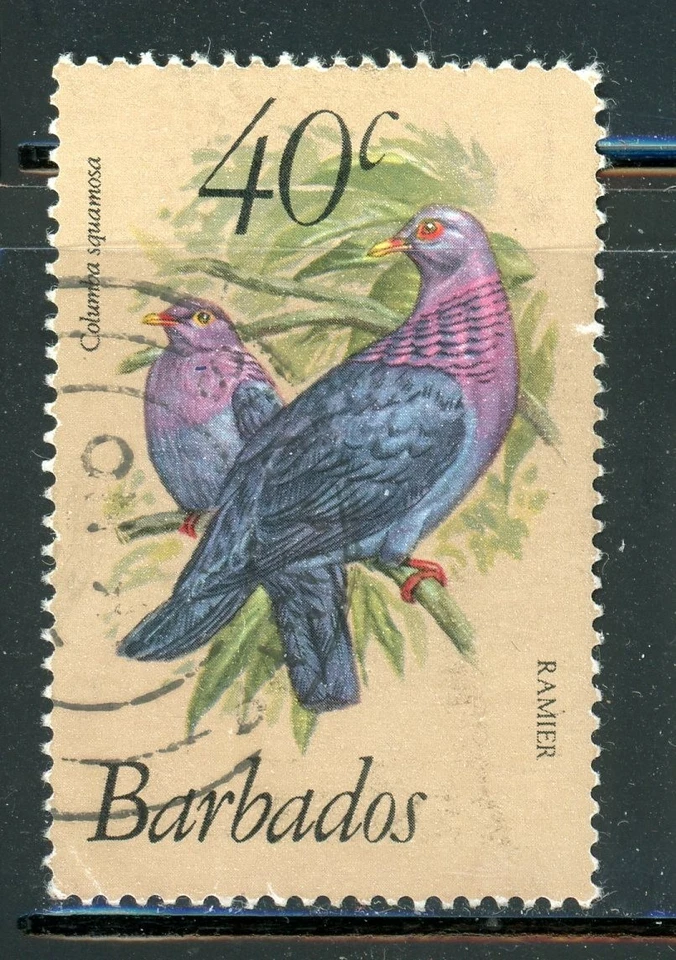 巴巴多斯 571 SG631b 二手 1982 年 40c 鸟类最终拉米尔 CV6 美元 — 第 1/1 张图片