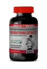 Catuaba - MUIRA PUAMA EXTRACT - support a healthy sex drive in men 1 Bottle