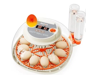 Egg Incubator with Temperature and Humidity Control, Automatic Egg Turner - Picture 1 of 7