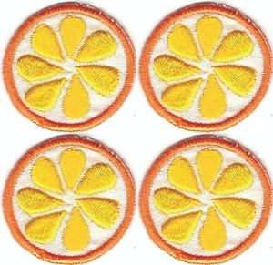 Orange Obst Aufnäher bestickt ausgeschnitten Aufbügeln aufnähen (1 Zoll) Menge 4 - Bild 1 von 2