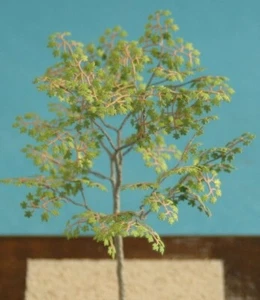 Kamizukuri A-6-35 1/35 Maple - Picture 1 of 2