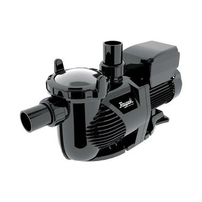 Raypak Protege Pool Pump – RPVSP1 – Quiet, Powerful 1.5 HP Variable Speed - Image 1 of 3