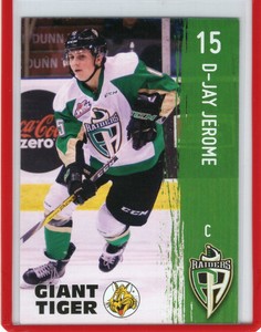 2016/17 Prince Albert Raiders - D-JAY JEROME [Newfoundland Growlers] ECHL
