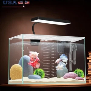 3gal Nano Glass Aquarium Tank W/ Filter LED Light Separator Plate Betta Cover US - Picture 1 of 9