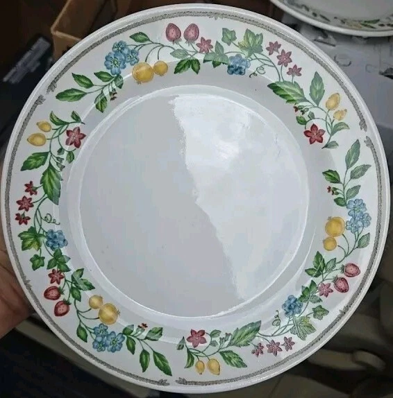 PLATOS DE CENA FESTIVAL FARBERWARE 10,5" DIÁMETRO EN MUY BUEN ESTADO USADO Foto 1 de 1