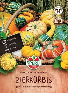 Calabaza ornamental Sperli's Villa colorida mezcla afrutada grande y pequeña semillas 87644 - Imagen 1 de 2