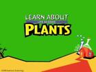 Learn About Life Science: Plants PC MAC CD teach seeds trees match exercises etc