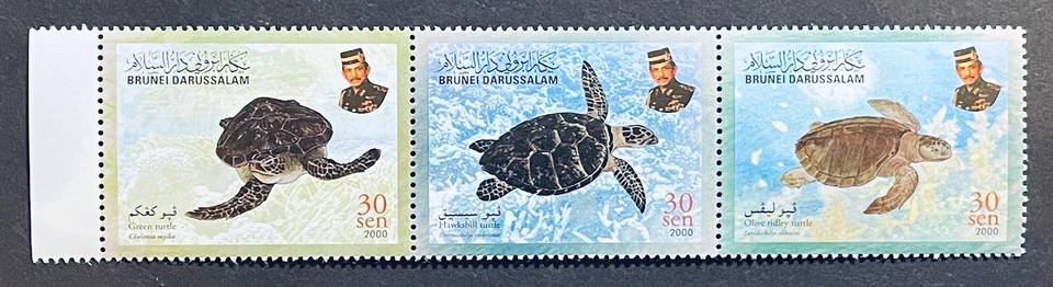 МАРКИ БРУНЕЙ МОРСКАЯ ЧЕРЕПАХА ПОЛОСКА КАК НОВЫЕ БЕЗ НАКЛЕЕК И СЛЕДОВ 2000 ЗЕЛЕНАЯ ЯСТРЕБИНАЯ КУПЮРА ОЛИВКОВЫЙ РАЙДЛИ МОРСКАЯ ЖИЗНЬ - Изображение 1 из 1