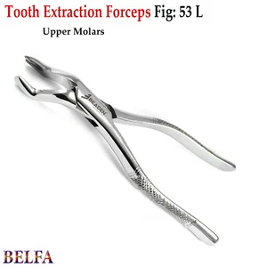 Upper Lower Tooth Extraction Forceps Surgical Extracting Pliers Tooth Loosen - Picture 1 of 5