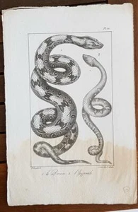 GRAVURE authentique 19°: LE DEVIN, L HYPNALE. Lithographie C MOTTE - Imagen 1 de 1