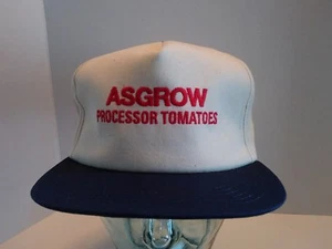 VTG Asgrow SnapBack Hat Cap K-Products Embroidered Flat Bill NOS Farm Ag USA - Picture 1 of 12