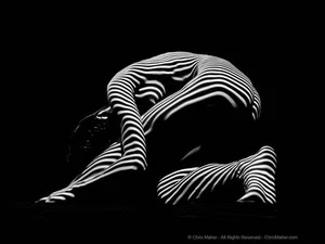 9813-DJA BW Arte Abstracto Cebra Mujer Yoga Estirado Figura de Sabor Firmada Maher - Imagen 1 de 1
