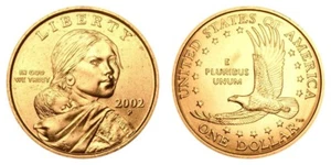2002 P&D Native American Indian One Dollar Coins Sacagawea US Mint Coin Money - Picture 1 of 4
