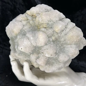 "6"" GEODE sin cortar 5,8 lb geodizado fósil cuarzo cristal calcedonia denso Kentucky" - Imagen 1 de 7