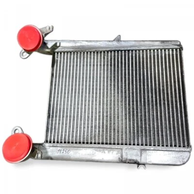 DAF LF45, LF55, LF180, CF65, CF75, CF85 TP2033135 Ladeluftkühler 1679756 D72138 - Bild 1 von 4