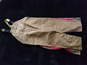 Carhartt Mens Insulated Zip Waist Canvas Workwear Jumpsuit Bib Overalls 48 x 32 - Afbeelding 1 van 6