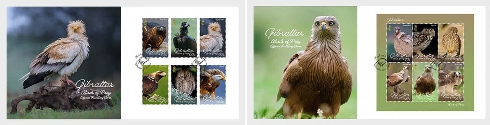 Gibraltar 2024 bird prey Eagle Vulture Scops Owl Black Kite Kestrel 6v +ms6v FDC - Image 1 of 1