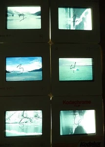 Lot 6 Original Vintage 35mm Kodak Photo Color Slides Alaska 1994 Transparency - Picture 1 of 10