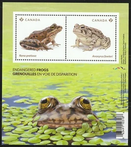 Canada #3420, Endangered Frogs, Toad, Souvenir Sheet of 2, MNH 2024 - Foto 1 di 1