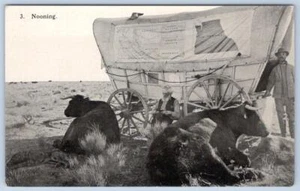 1910's NOONING WAGON OXEN EZRA MEEKER OREGON TRAIL MONUMENT EXPEDITION POSTCARD - Picture 1 of 2