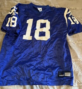 PEYTON MANNING Indianapolis COLTS Football ADIDAS Blue Youth XL Jersey NFL - Picture 1 of 3