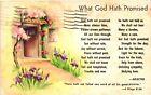Vintage Postcard- WHAT GOD HATH PROMISED, GOD HATH NOT PROMISED SKIES ALWAYS BLU