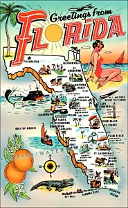 Florida Greetings 1950 affiche vintage print style rétro voyage art mural décoration - Photo 1 sur 5