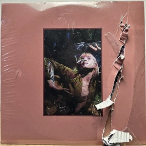 *DAMAGED* Hayley Williams – Flowers For Vases & Petals For Armor - 3 x LP Vinyl - Picture 1 of 2