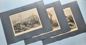 SET OF 3 ZINCOGRAPHS RESURGENCE, GENOA CAVALRY/CAVALL.MONFERRATO 1897#70x50 - Picture 1 of 21