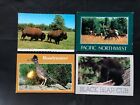 Lot of 11  Wildlife Postcards- Unposted - See Photos