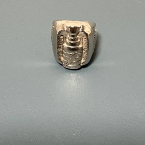 2004 Tampa Bay Lightning STH Replica Stanley Cup Ring St Peter Times Sz 8 1/2 - Picture 1 of 8