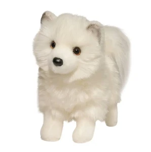 Douglas phoebe the pomsky - Picture 1 of 1