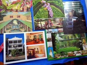 Vintage Key West Florida Souvenir Postkarte Lot von 7 Hemingway, Hotel, Aquarium - Bild 1 von 5