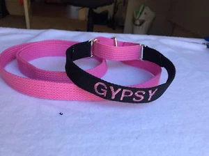 Just Pawfect embroidered personalised "All In One" Lead And Collar - Picture 1 of 2