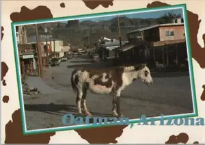 Oatman Arizona Wild Famed for Wild Burros Street Scene Continental Postcard - Picture 1 of 2
