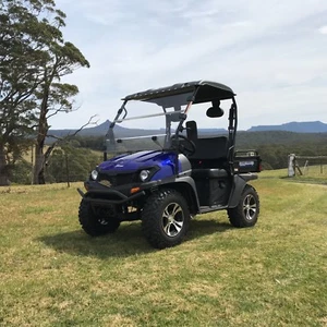 2025 SX200 4X2 SIDE X SIDE UTV ATV BUGGY NEW | BOXED | 80% ASSEMBLED - Picture 1 of 11