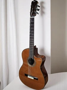 Cordoba Fusion Series 12 Nylon String Guitar 25.6" Scale Natural Case Pickup - Picture 1 of 12