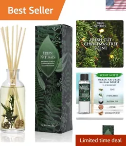 Eco-Friendly Reed Diffuser Set - Balsam Forest Scent, Long-Lasting 3.75oz - Picture 1 of 11