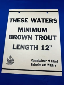 C.1965 NOS Maine Game Warden Sign BROWN TROUT 12"L MINIMUM 11"X9" Camp Decor - Picture 1 of 2